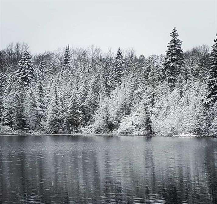 45 Acres of Recreational Land for Sale in Newberry, Michigan