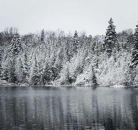 45 Acres of Recreational Land for Sale in Newberry, Michigan