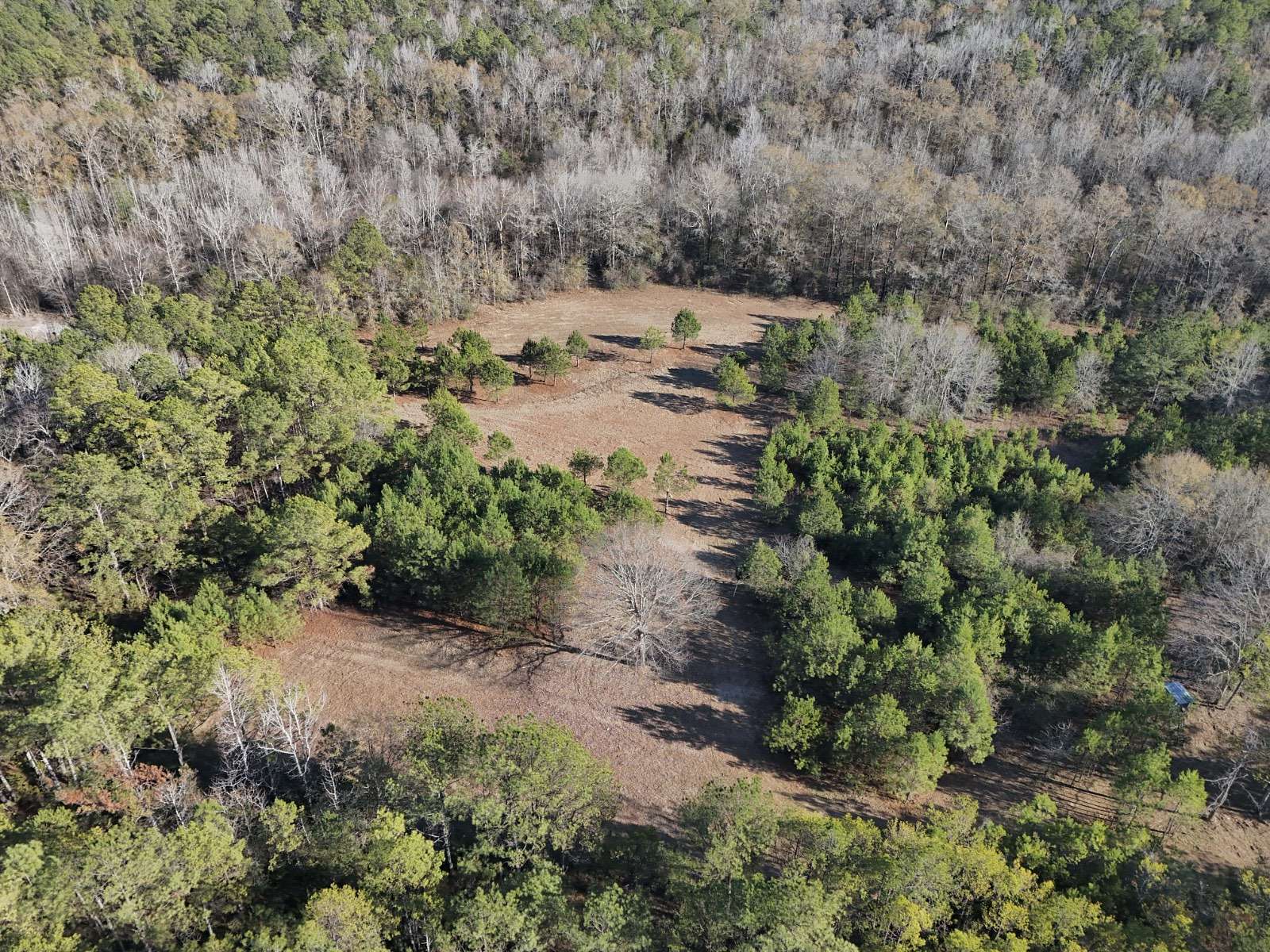 261 Acres of Recreational Land & Farm for Sale in Tuskegee, Alabama