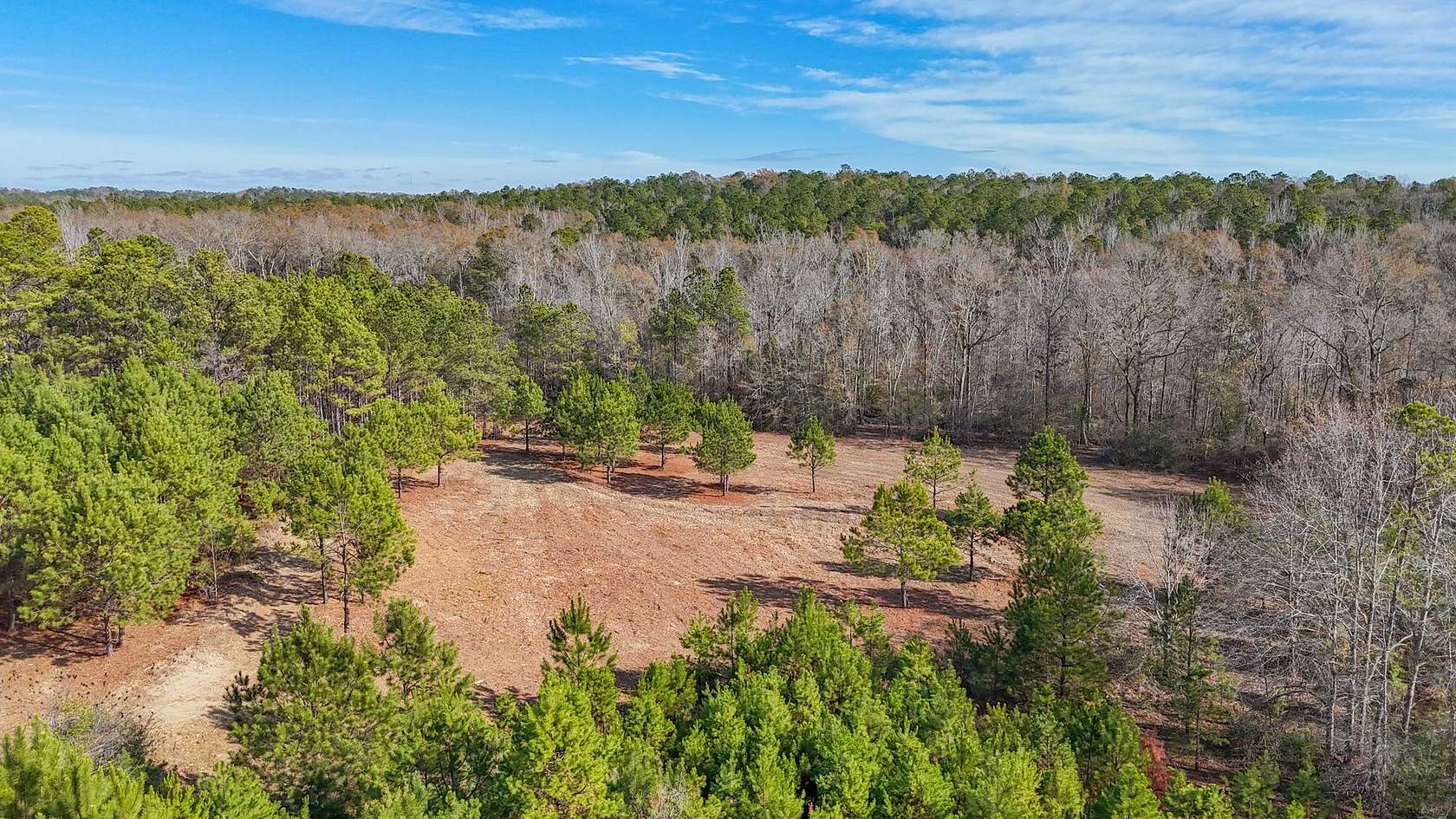 261 Acres of Recreational Land for Sale in Tuskegee, Alabama