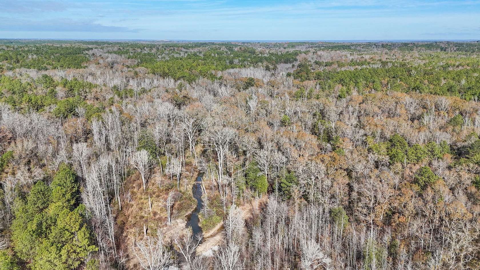 261 Acres of Recreational & Residential Land for Sale in Franklin, Alabama