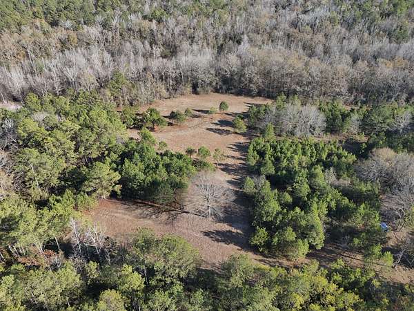 261 Acres of Recreational Land & Farm for Sale in Tuskegee, Alabama