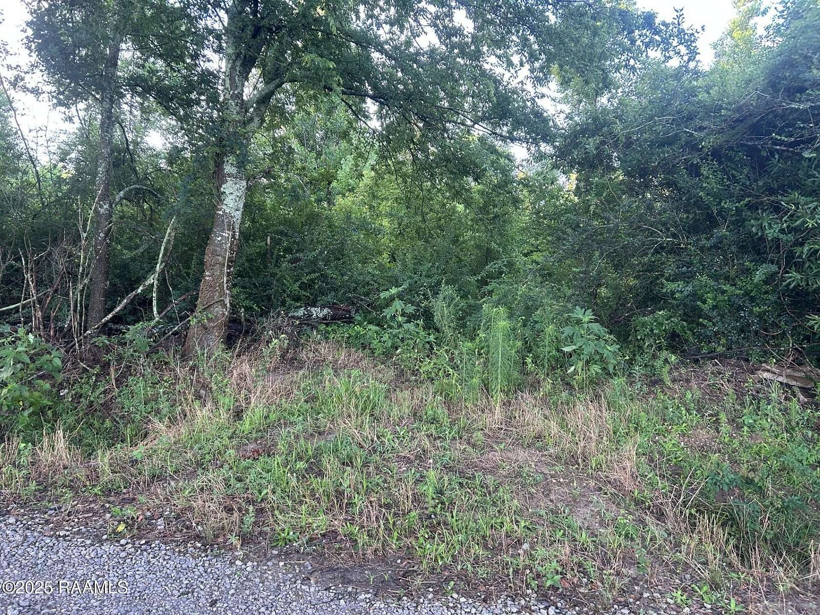 22 Acres of Recreational Land for Sale in Ville Platte, Louisiana