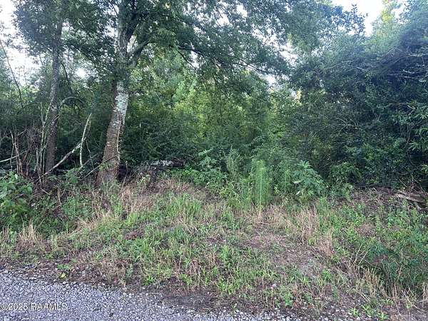 22 Acres of Recreational Land for Sale in Ville Platte, Louisiana