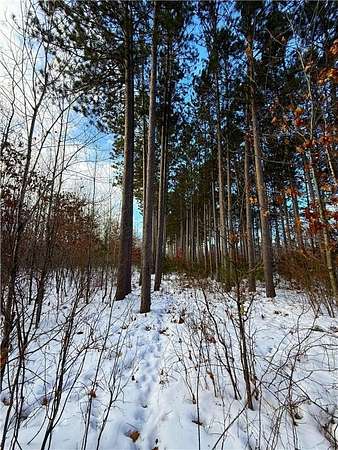 46.2 Acres of Recreational Land & Farm for Sale in Hinckley, Minnesota