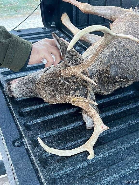 88.8 Acres of Land for Sale in Grubville, Missouri