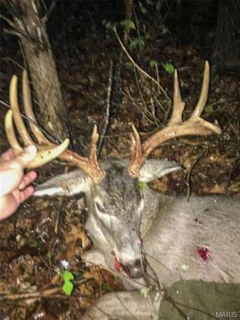 88.8 Acres of Land for Sale in Grubville, Missouri