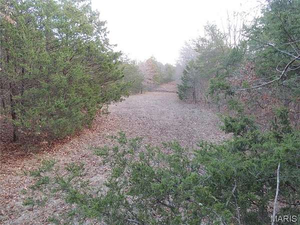 88.8 Acres of Land for Sale in Grubville, Missouri