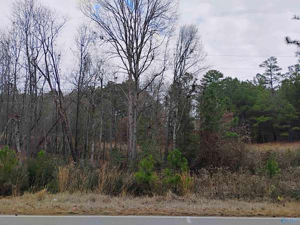 1.49 Acres of Land for Sale in Leesburg, Alabama