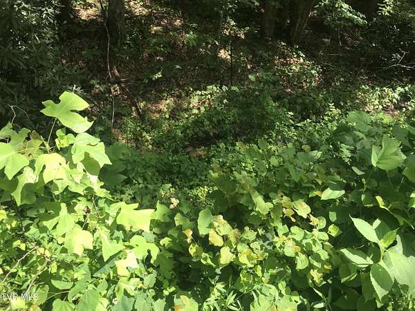 0.72 Acres of Residential Land for Sale in Greeneville, Tennessee
