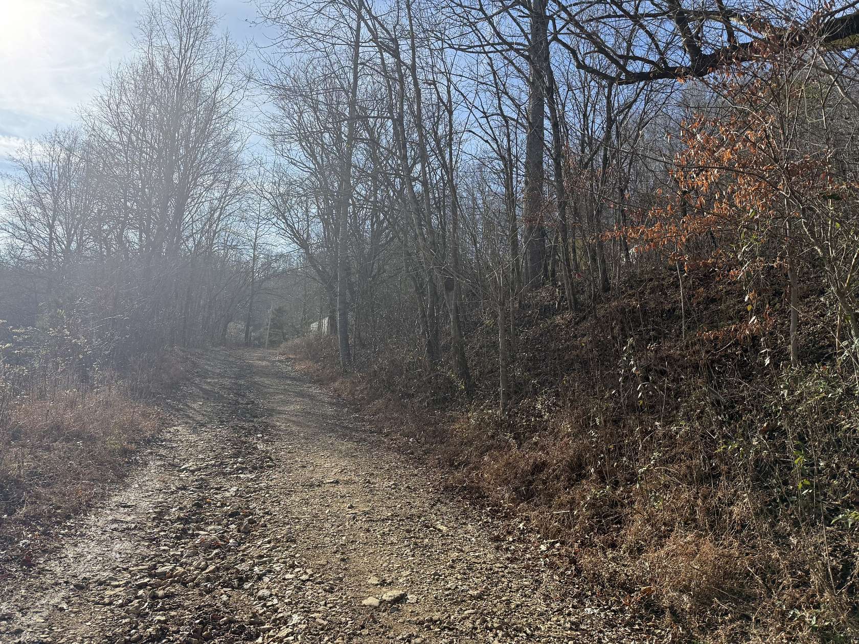 48.4 Acres of Recreational Land for Sale in Bethpage, Tennessee