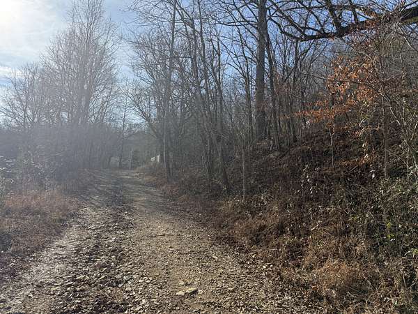 48.4 Acres of Recreational Land for Sale in Bethpage, Tennessee