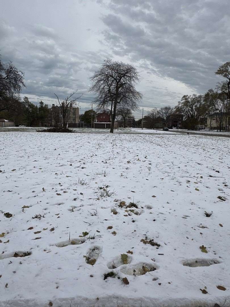 0.14 Acres of Residential Land for Sale in Chicago, Illinois