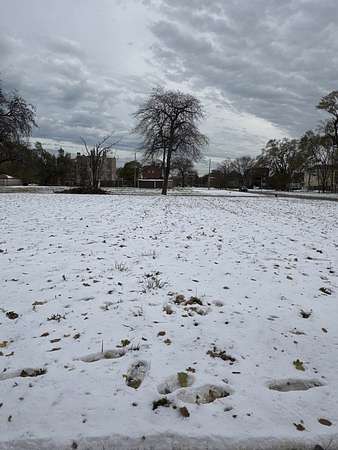 0.14 Acres of Residential Land for Sale in Chicago, Illinois