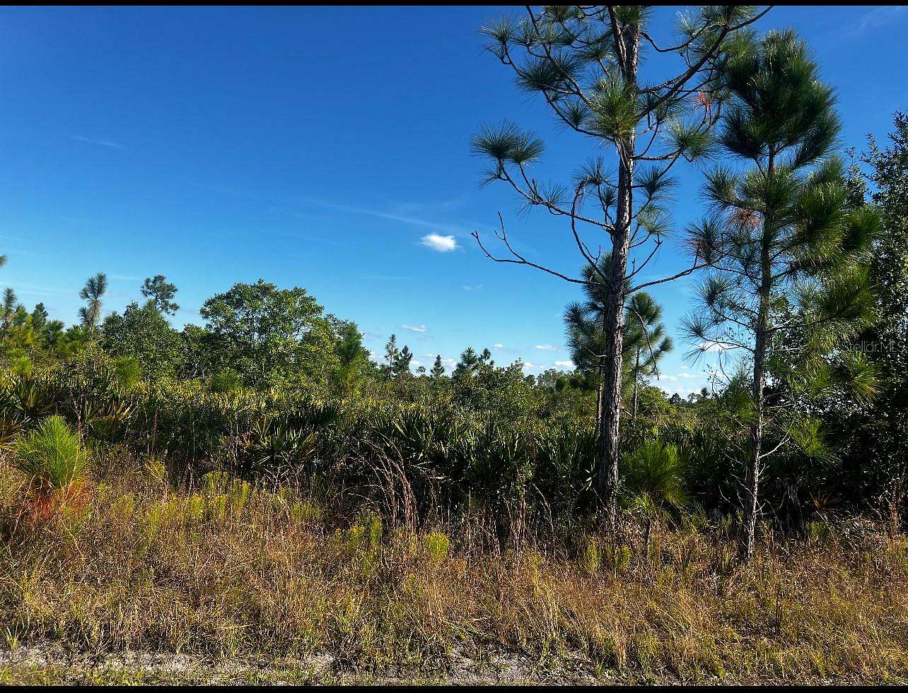 0.52 Acres of Residential Land for Sale in Lake Wales, Florida