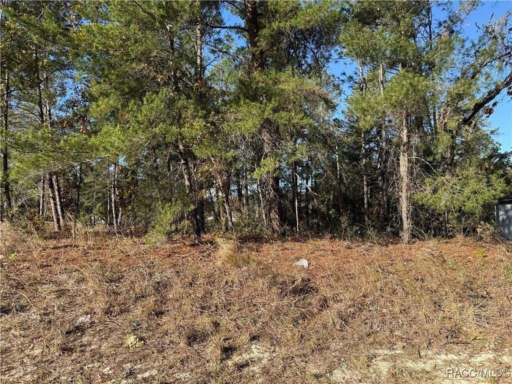 0.23 Acres of Residential Land for Sale in Citrus Springs, Florida