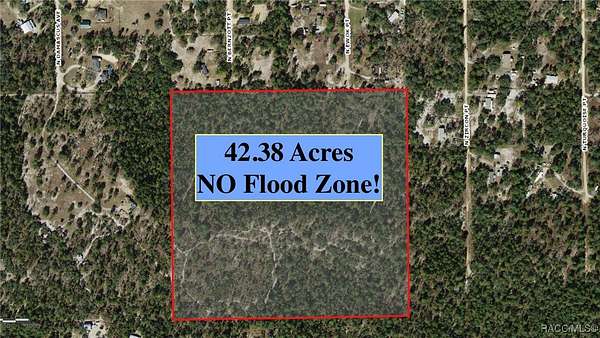 42.4 Acres of Agricultural Land for Sale in Dunnellon, Florida
