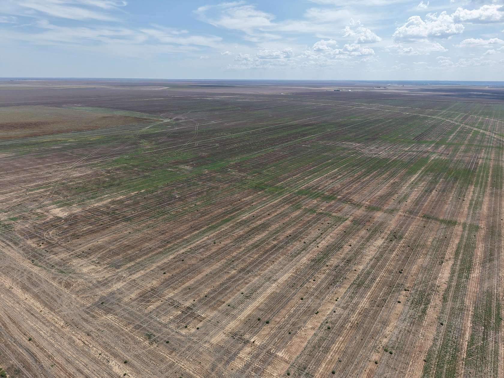 51 Acres of Agricultural Land for Sale in Amarillo, Texas