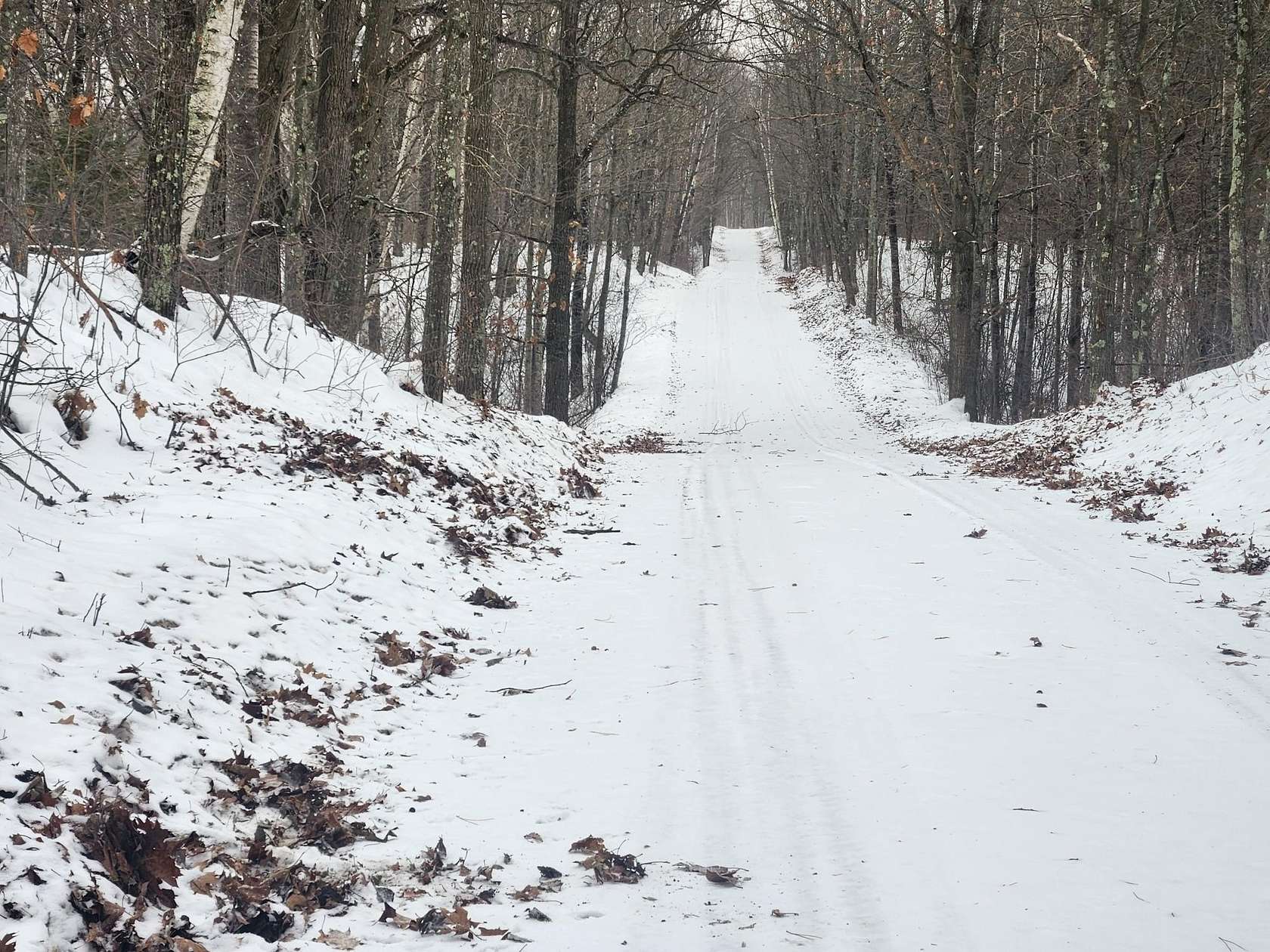 38.1 Acres of Recreational Land for Sale in Rhinelander, Wisconsin