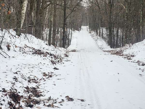 38.1 Acres of Recreational Land for Sale in Rhinelander, Wisconsin