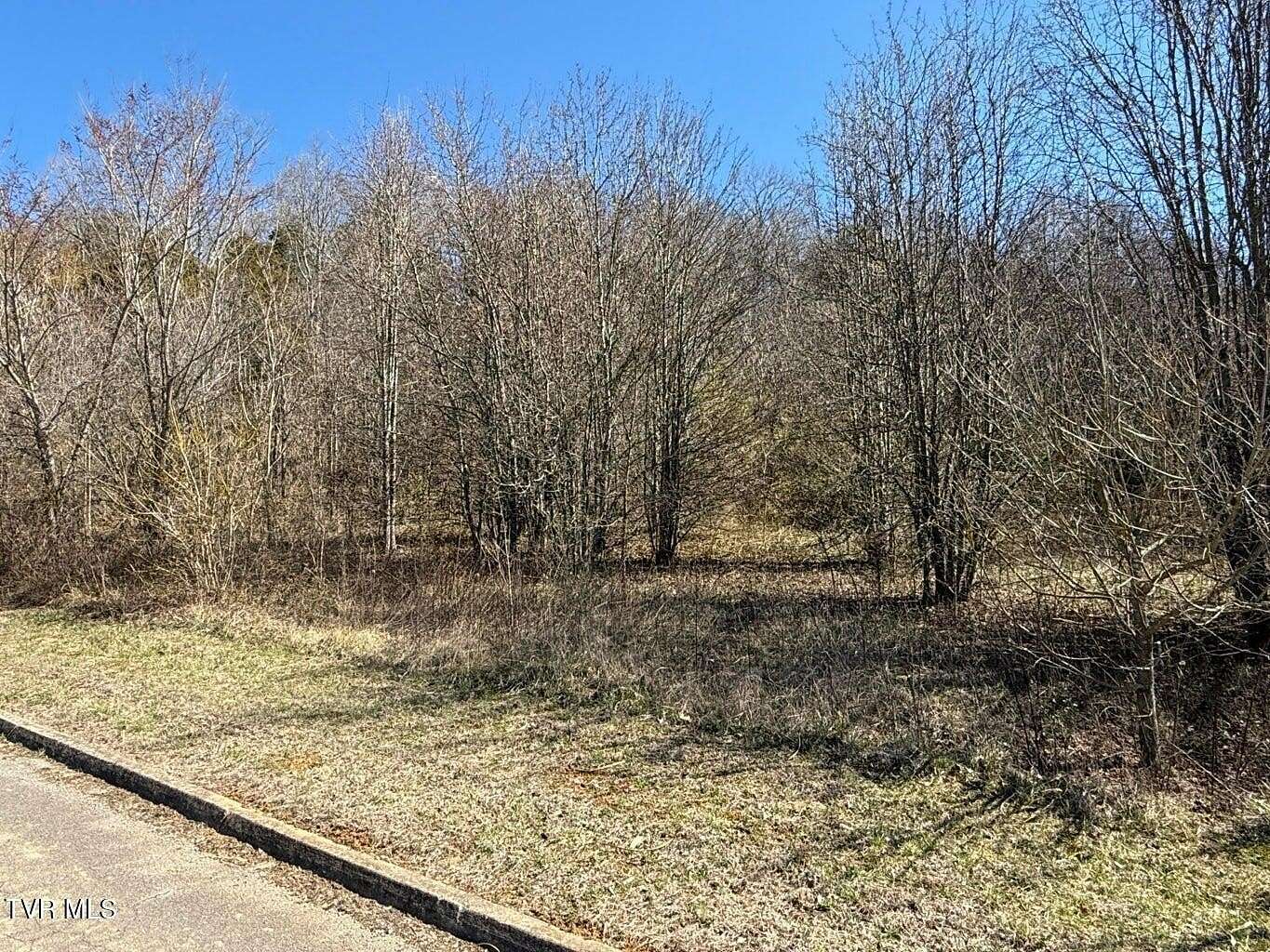 4.63 Acres of Residential Land for Sale in Parrottsville, Tennessee