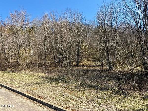 4.63 Acres of Residential Land for Sale in Parrottsville, Tennessee
