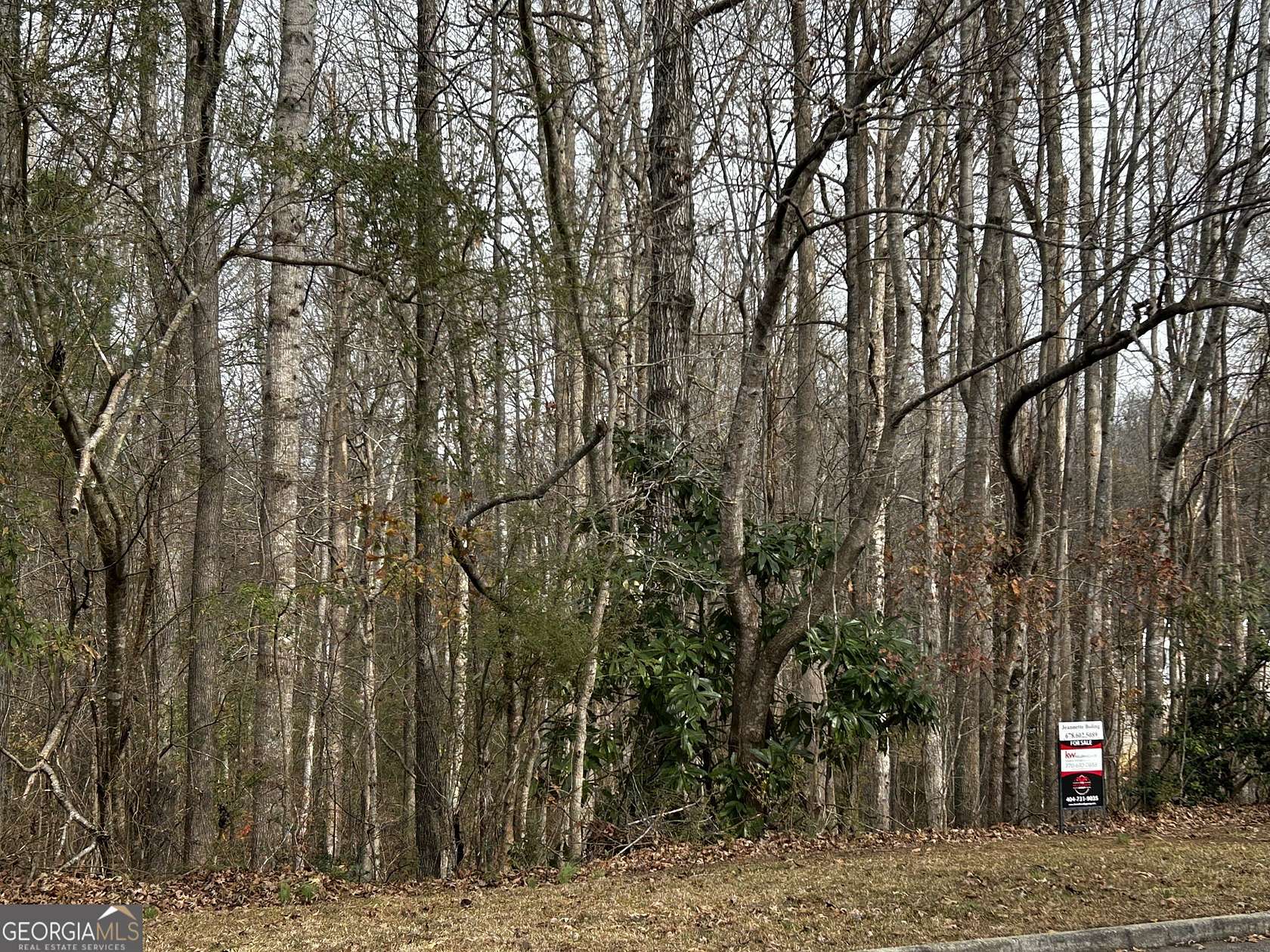 1.56 Acres of Residential Land for Sale in Griffin, Georgia