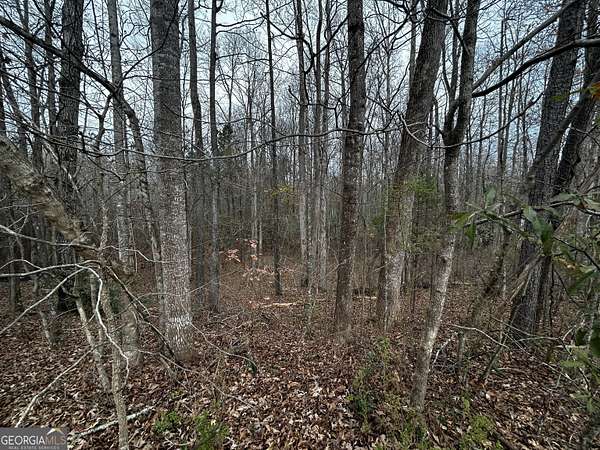 1.56 Acres of Residential Land for Sale in Griffin, Georgia