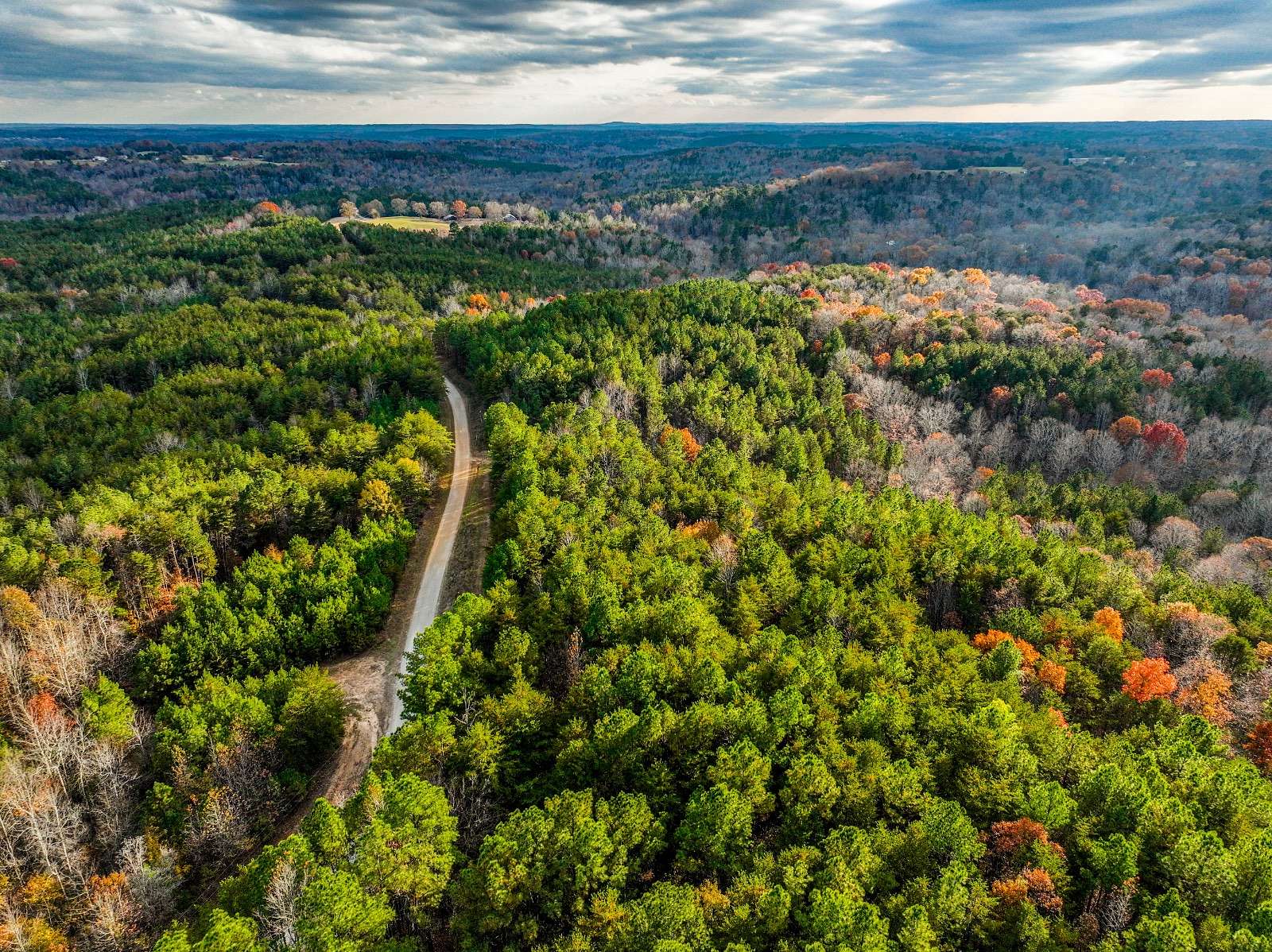 9 Acres of Residential Land for Sale in Haleyville, Alabama