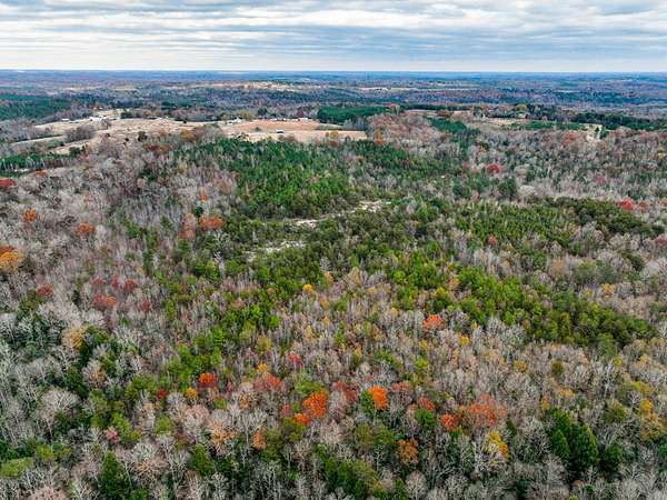 142 Acres of Recreational Land for Sale in Haleyville, Alabama