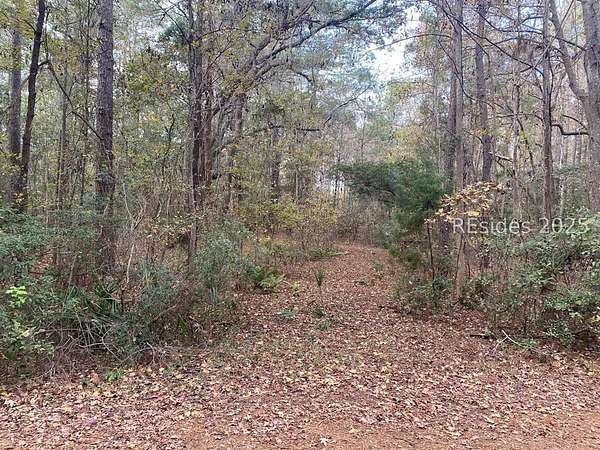 Residential Land for Sale in Okatie, South Carolina