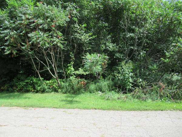 2 Acres of Land for Sale in Cassopolis, Michigan