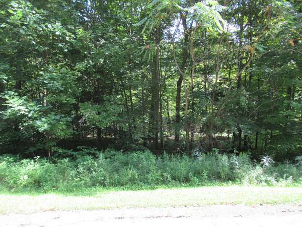2.39 Acres of Land for Sale in Cassopolis, Michigan