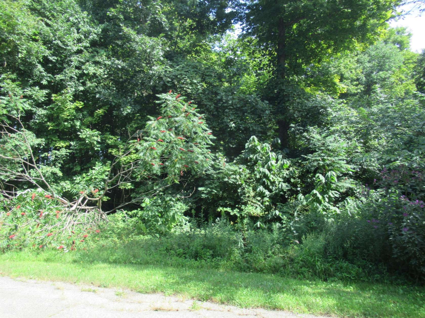 2.39 Acres of Land for Sale in Cassopolis, Michigan