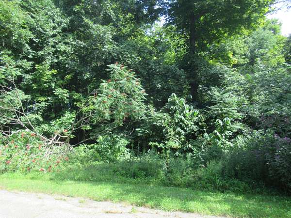 2.39 Acres of Land for Sale in Cassopolis, Michigan