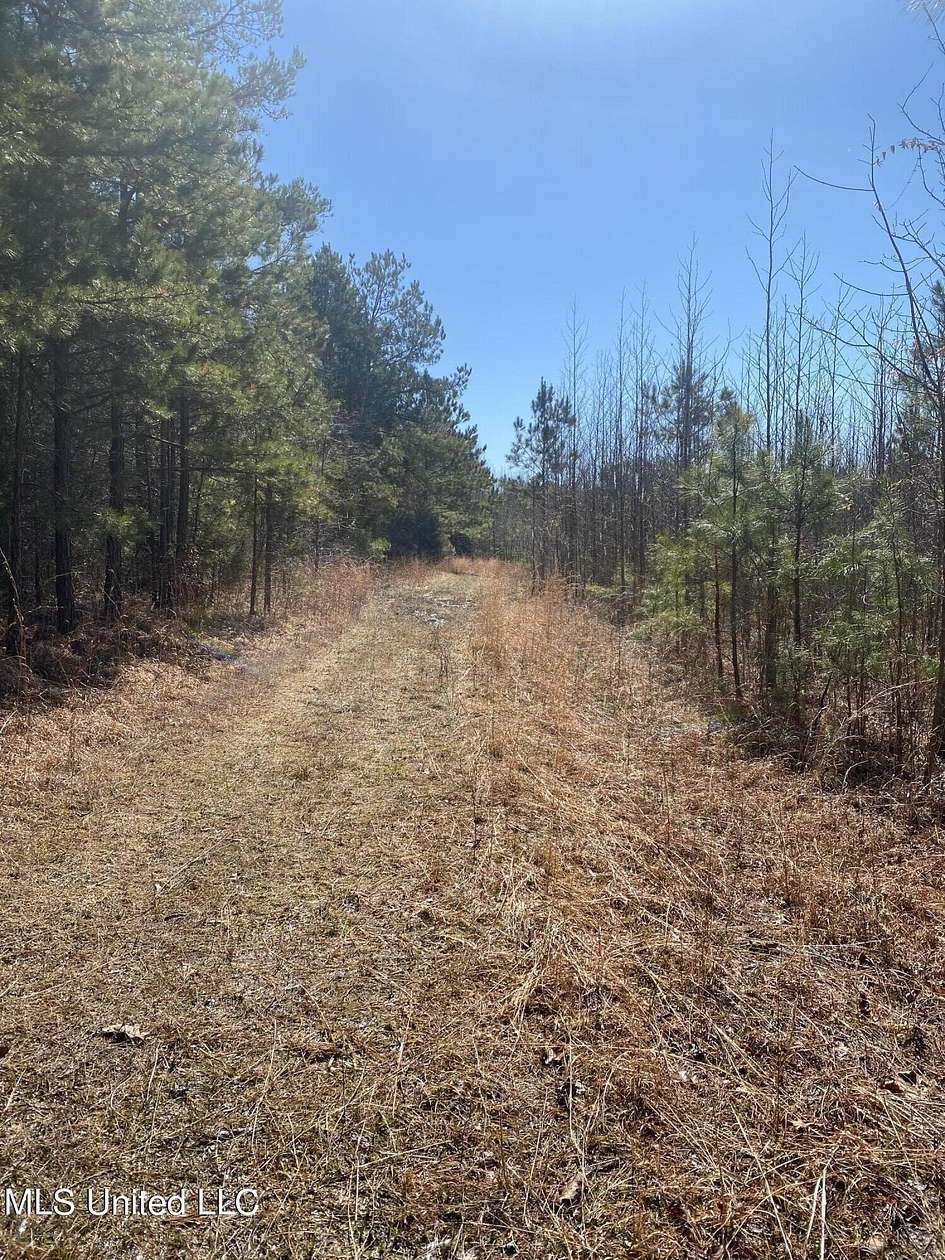 76 Acres of Land for Sale in Ripley, Mississippi
