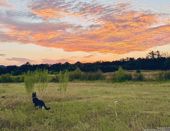 8.57 Acres of Land for Sale in Spring Branch, Texas