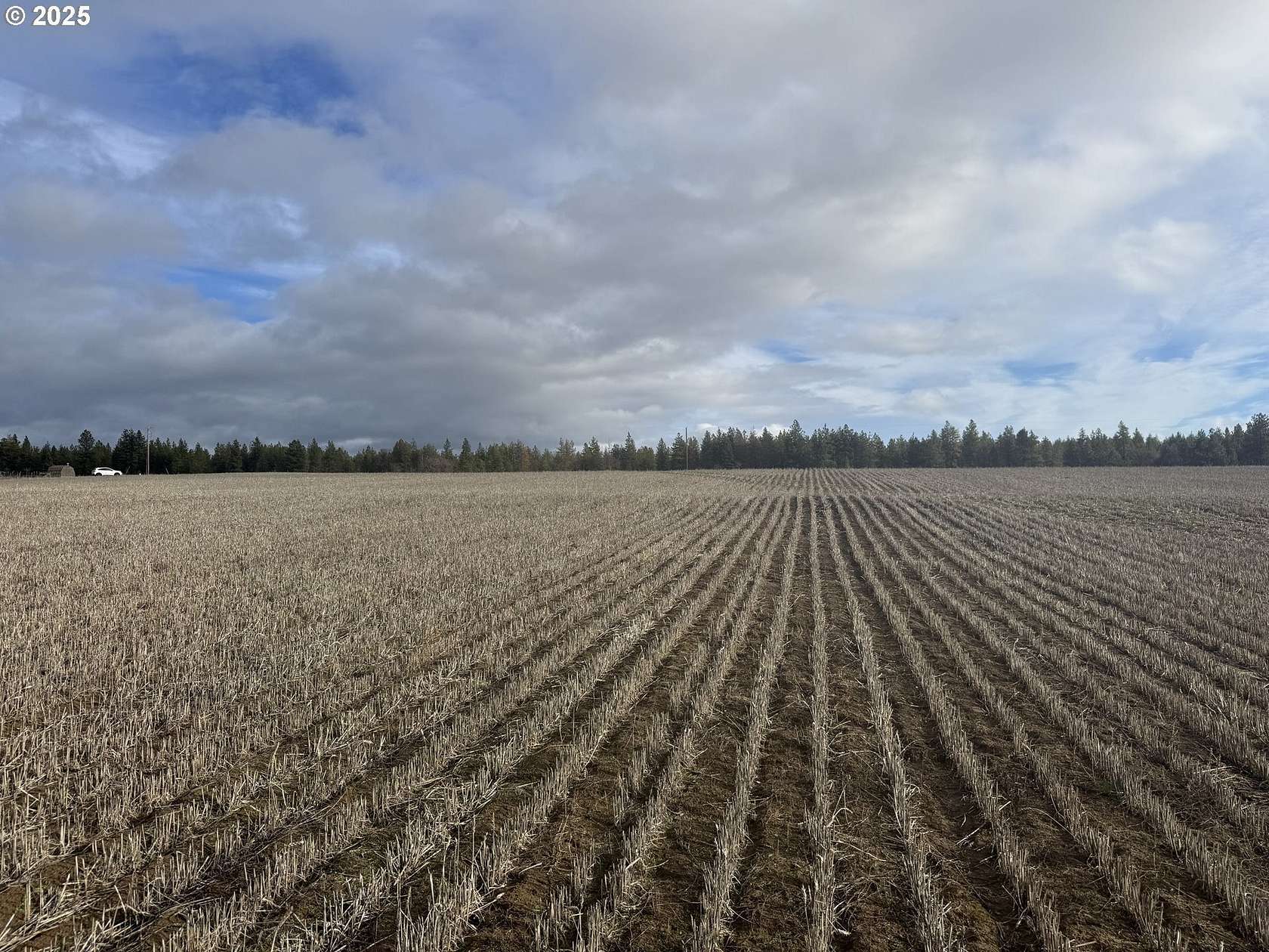 5 Acres of Land for Sale in Centerville, Washington