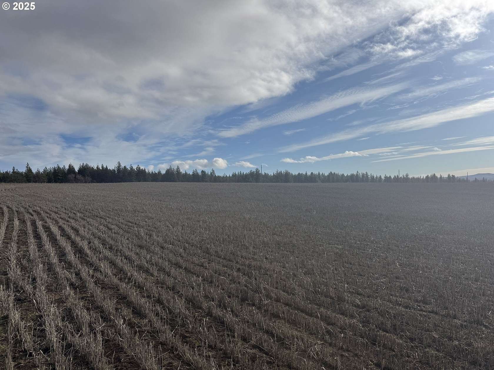 5 Acres of Residential Land for Sale in Centerville, Washington