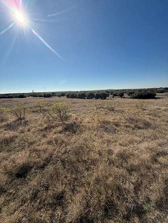 3 Acres of Residential Land for Sale in Graford, Texas