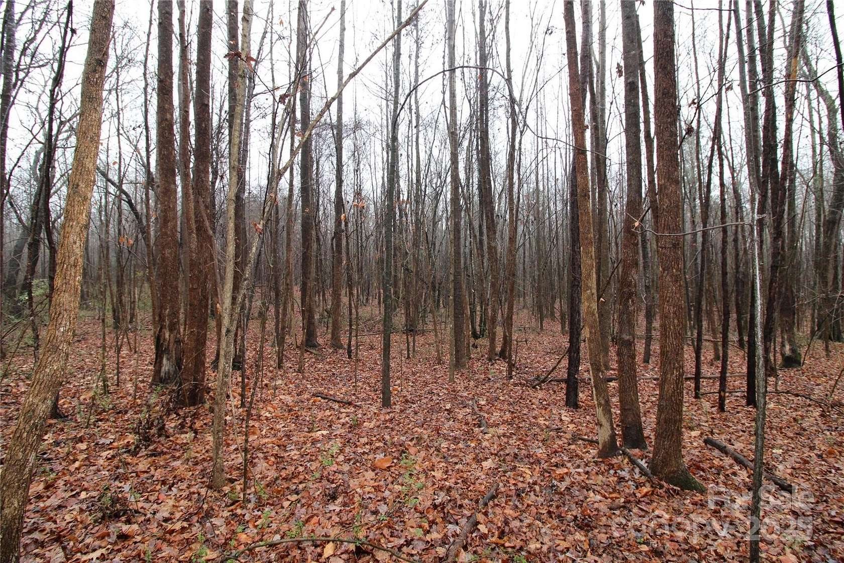 11 Acres of Recreational Land for Sale in Kings Mountain, North Carolina