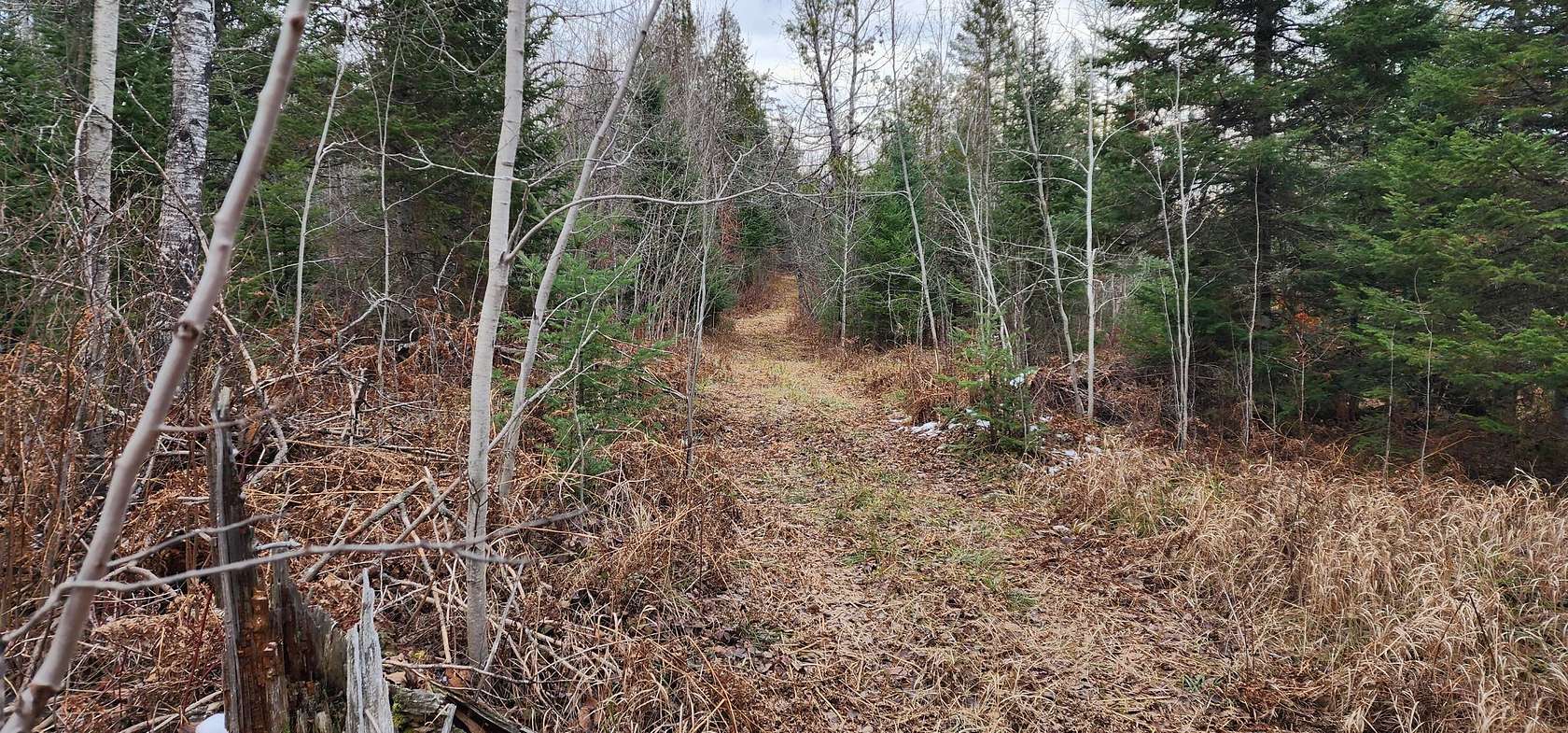 160 Acres of Recreational Land for Sale in Pickford, Michigan