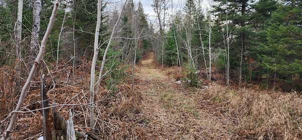 160 Acres of Recreational Land for Sale in Pickford, Michigan