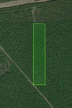 22.9 Acres of Recreational Land for Sale in Kountze, Texas