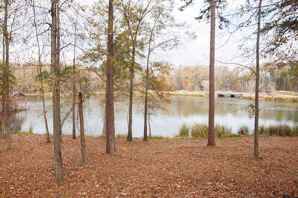 0.79 Acres of Residential Land for Sale in Arp, Texas