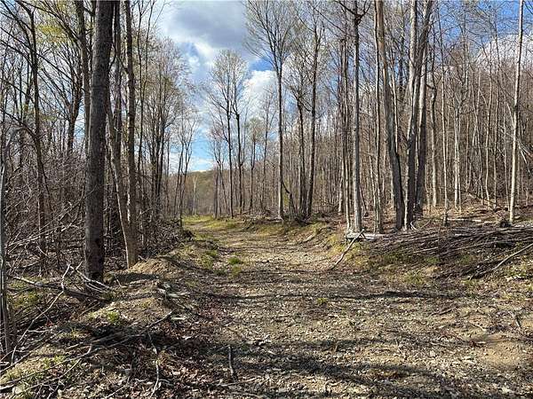 204 Acres of Recreational & Residential Land for Sale in Worcester, New York