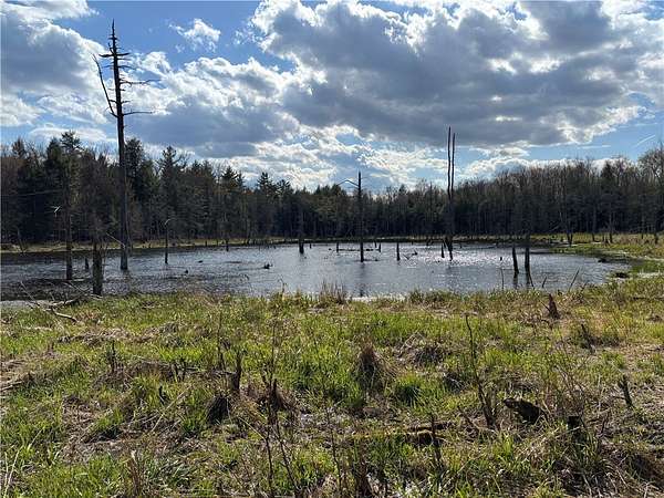 204 Acres of Recreational & Residential Land for Sale in Worcester, New York