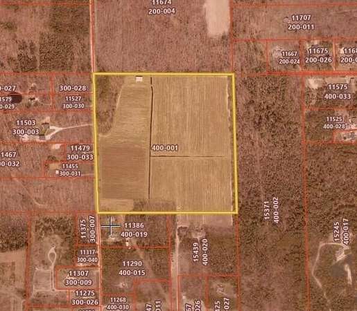 40.4 Acres of Recreational Land for Sale in West Olive, Michigan