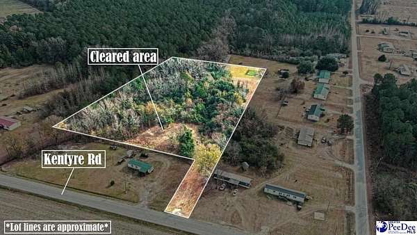1.82 Acres of Residential Land for Sale in Hamer, South Carolina