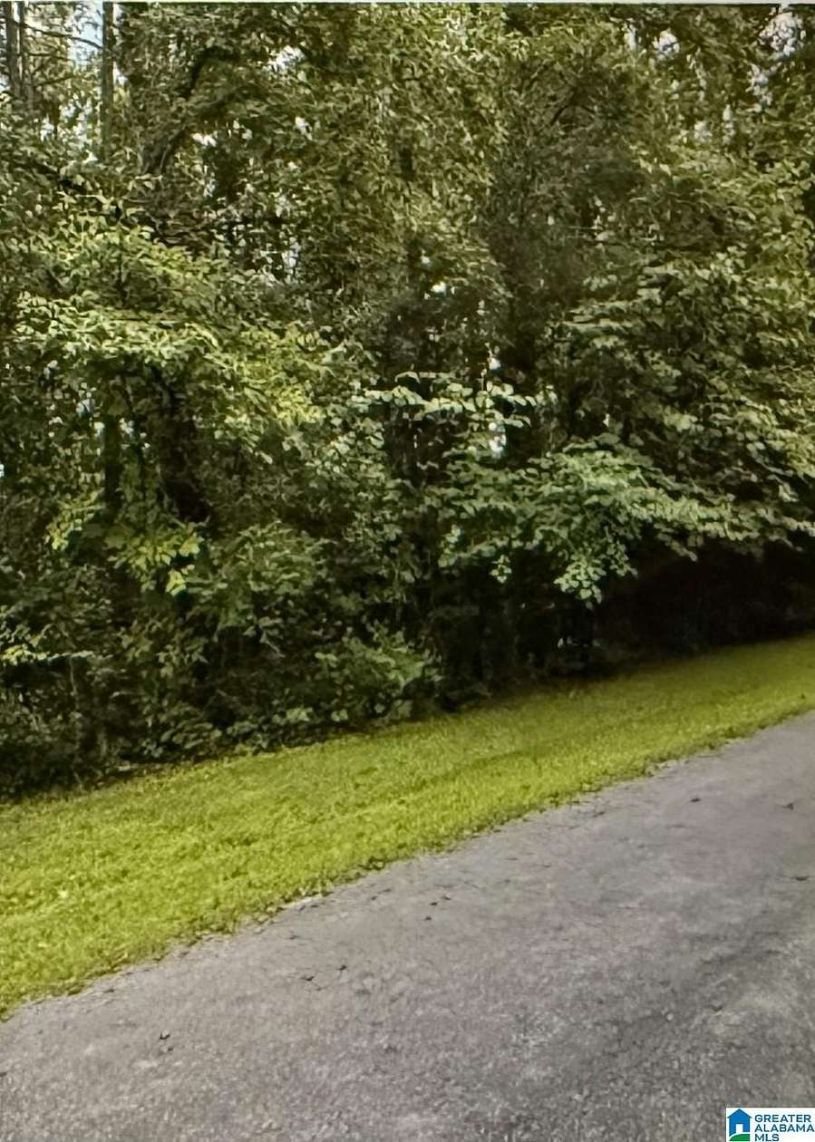 Residential Land for Sale in Childersburg, Alabama